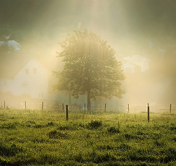 24小时不停呼叫软件