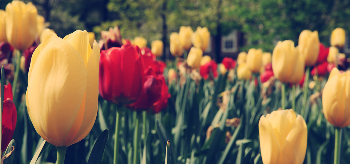 在线手机号轰炸测试