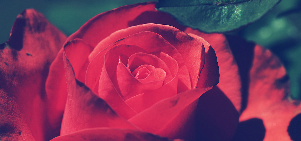 考试系统工具的呼死你电话轰炸机